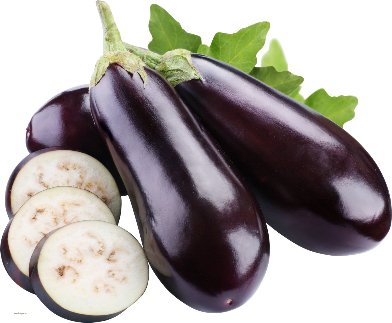 Eggplant PNG images free download    图片编号:2771