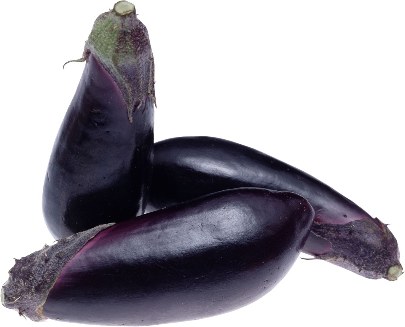 Eggplant PNG images free download    图片编号:2775