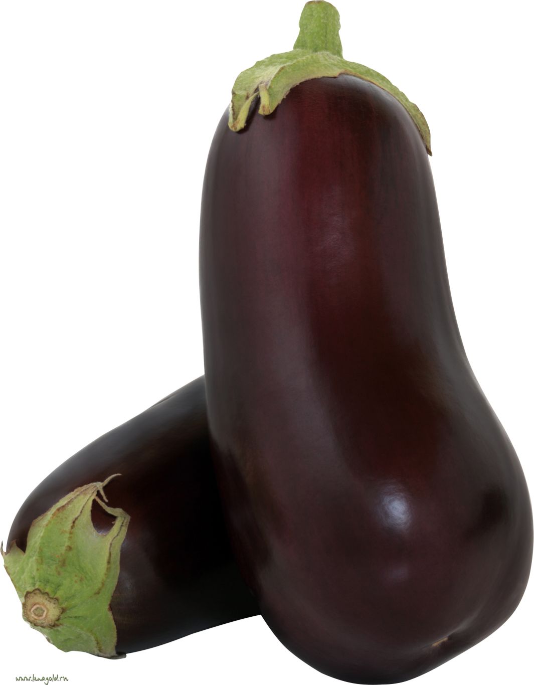 Eggplants PNG    图片编号:99299