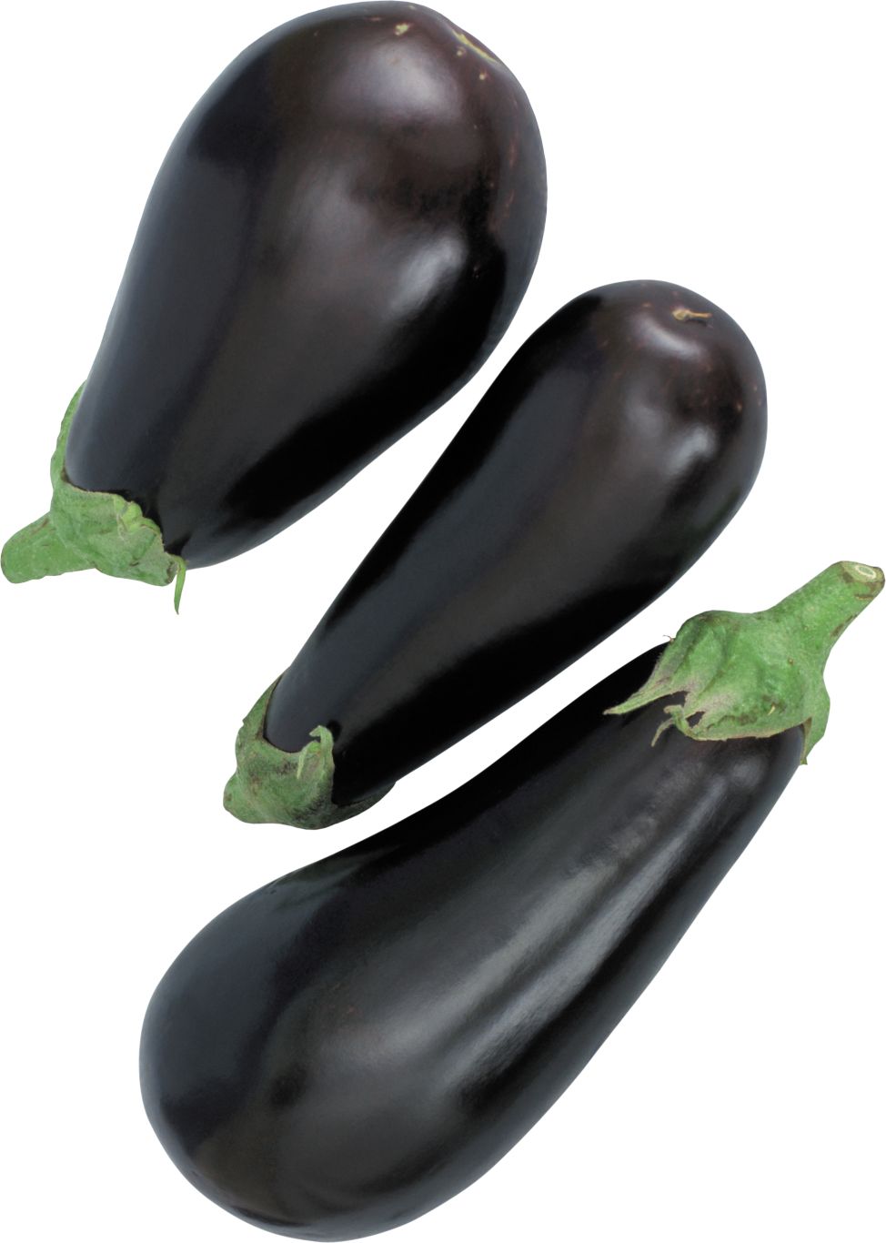 Eggplants PNG    图片编号:99303