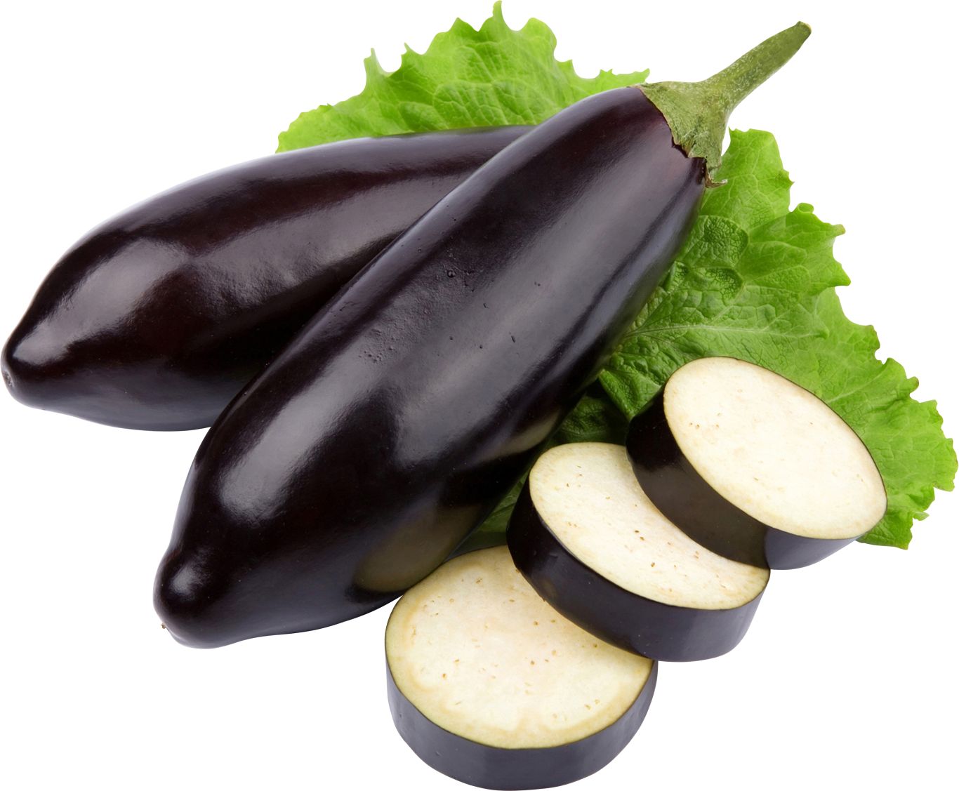 Eggplants PNG    图片编号:99306