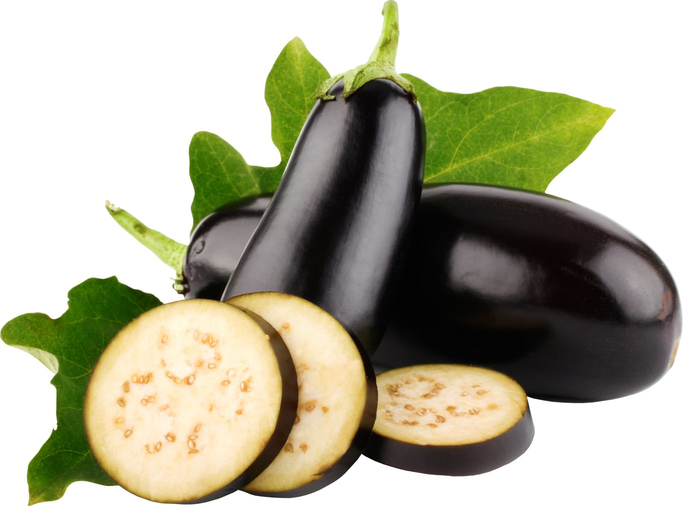 Eggplants PNG    图片编号:99307