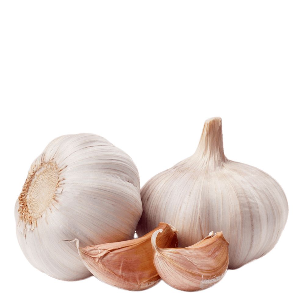 Garlic PNG    图片编号:12767