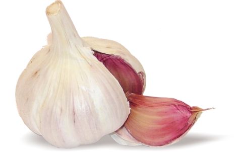 Garlic PNG    图片编号:12771