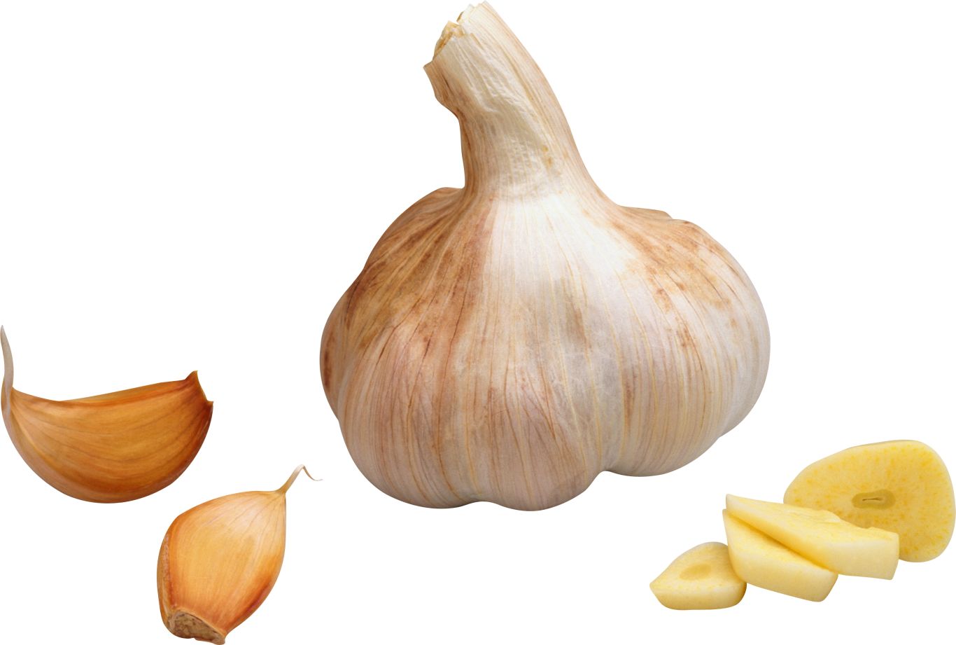 Garlic PNG    图片编号:12774
