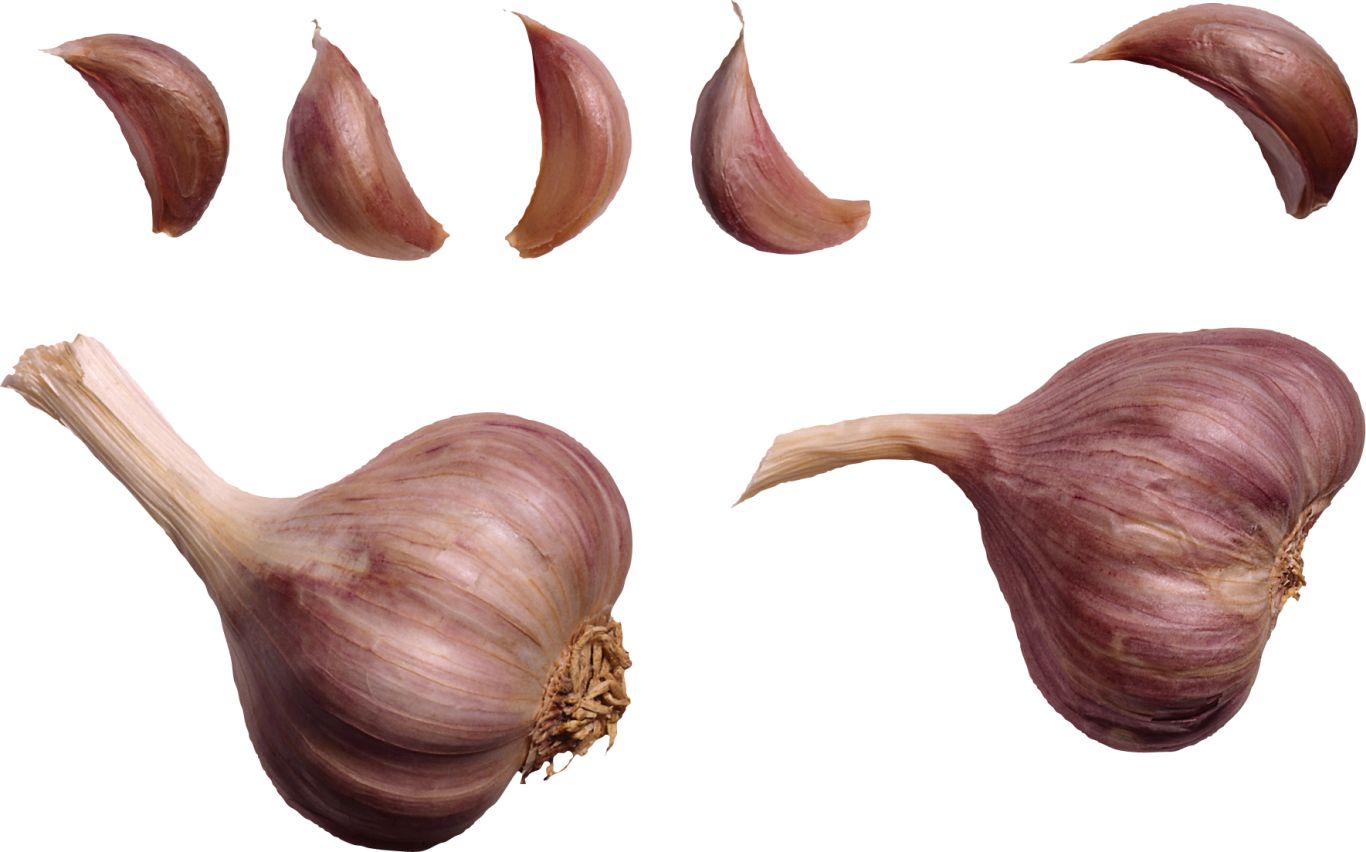 Garlic PNG    图片编号:12776