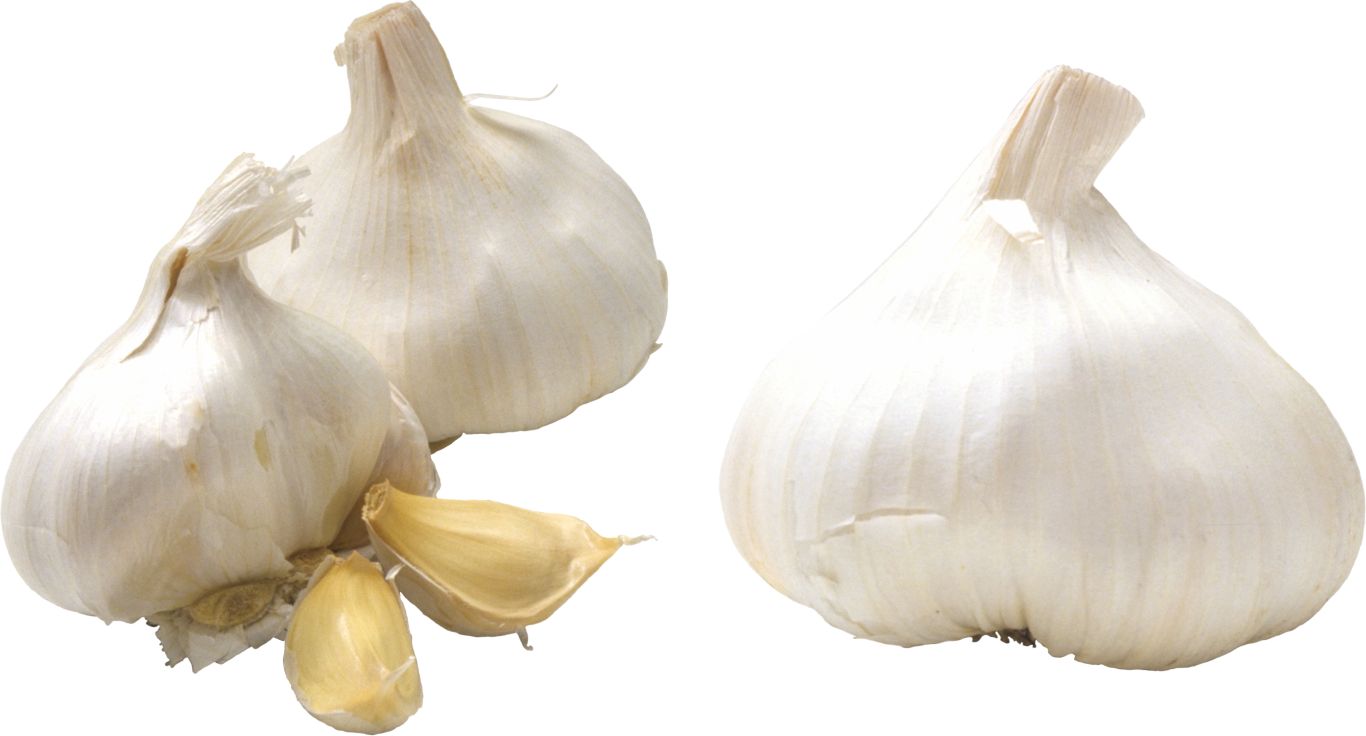 Garlic PNG    图片编号:12777