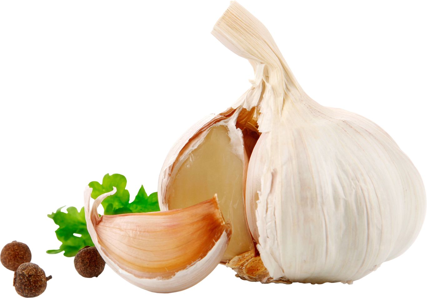Garlic PNG    图片编号:12778