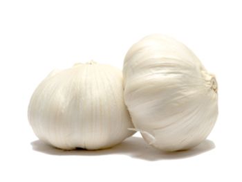 Garlic PNG    图片编号:12782