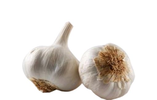 Garlic PNG    图片编号:12784