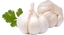 Garlic PNG    图片编号:12787