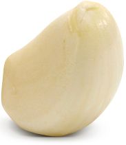 Garlic PNG    图片编号:12794