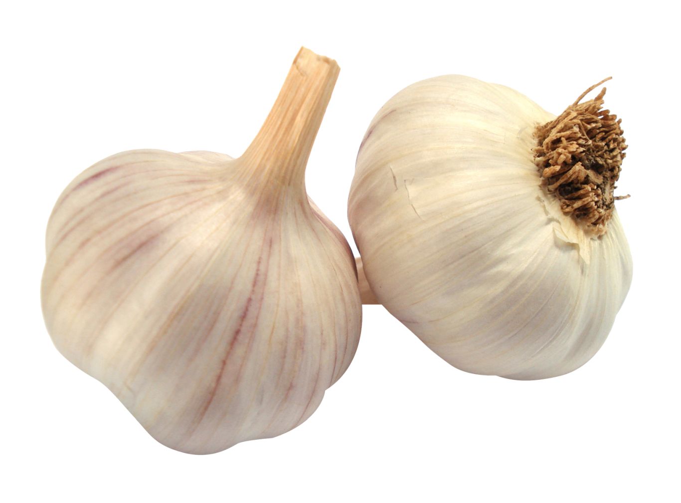 Garlic PNG    图片编号:12796