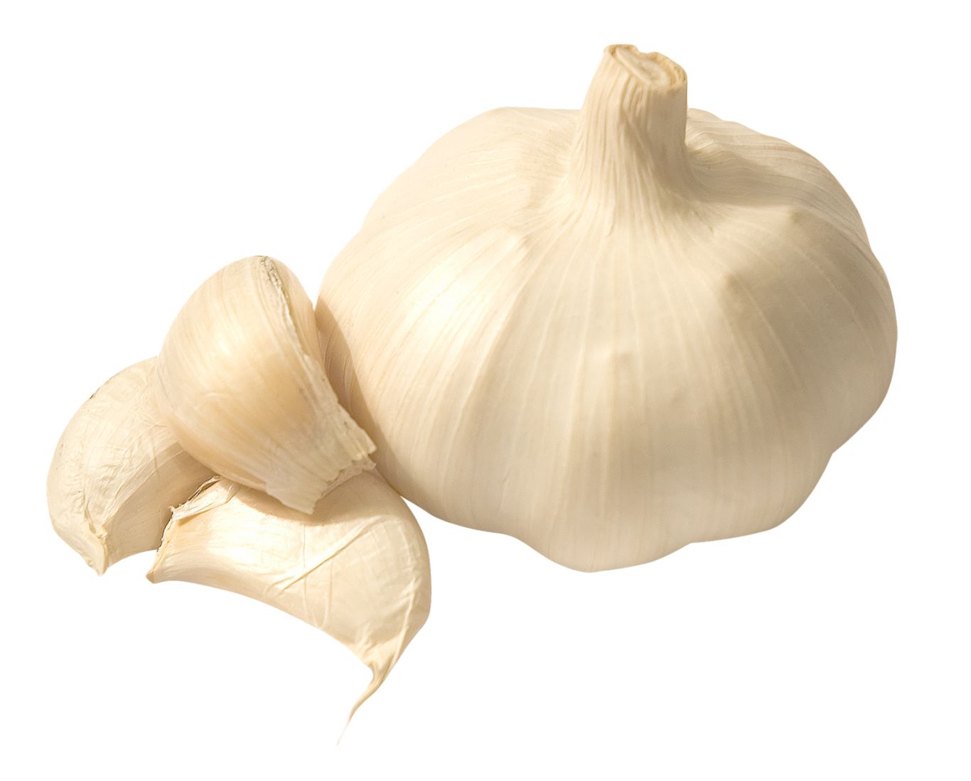 Garlic PNG    图片编号:12797