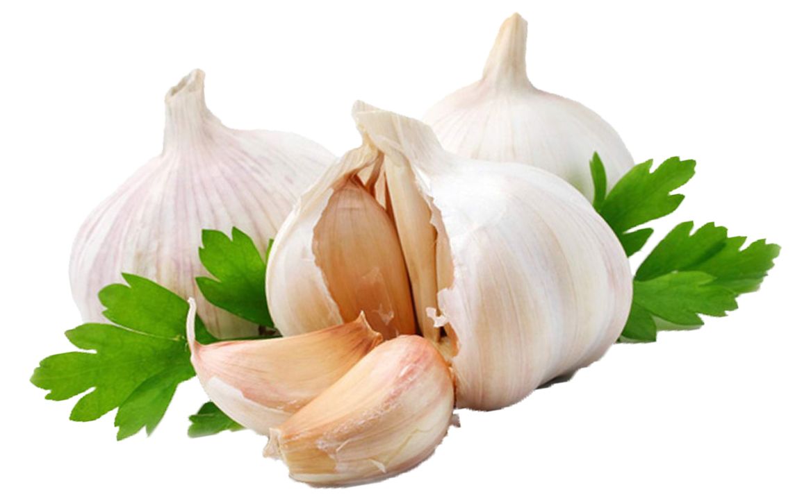 Garlic PNG    图片编号:12799