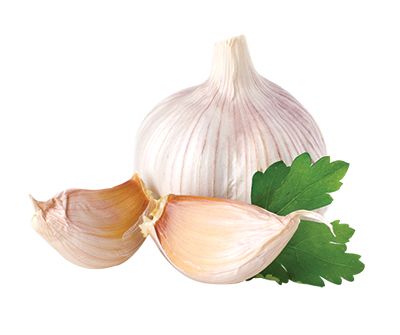 Garlic PNG    图片编号:12800