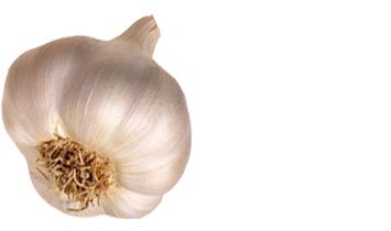 Garlic PNG    图片编号:12801