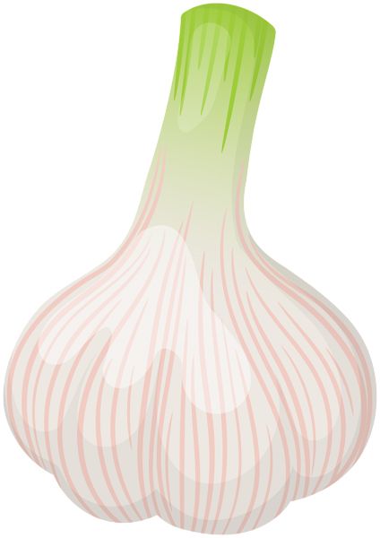 Garlic PNG    图片编号:99275