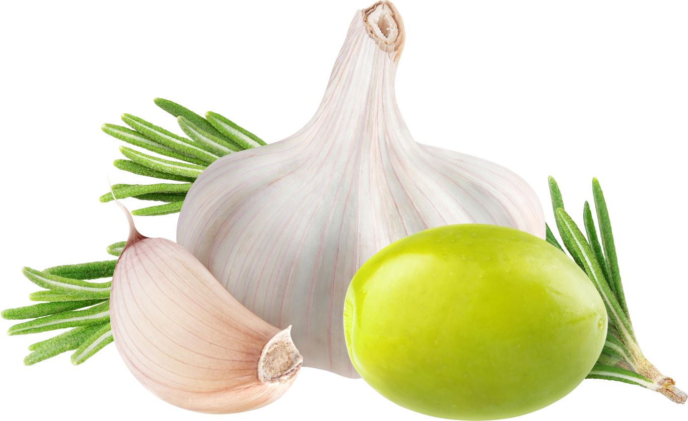 Garlic PNG    图片编号:99287
