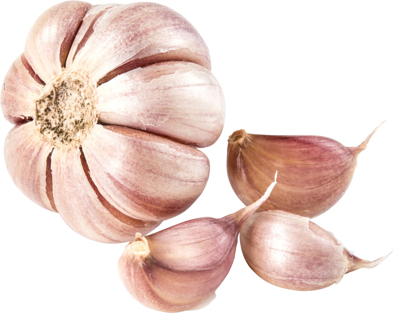 Garlic PNG    图片编号:99289