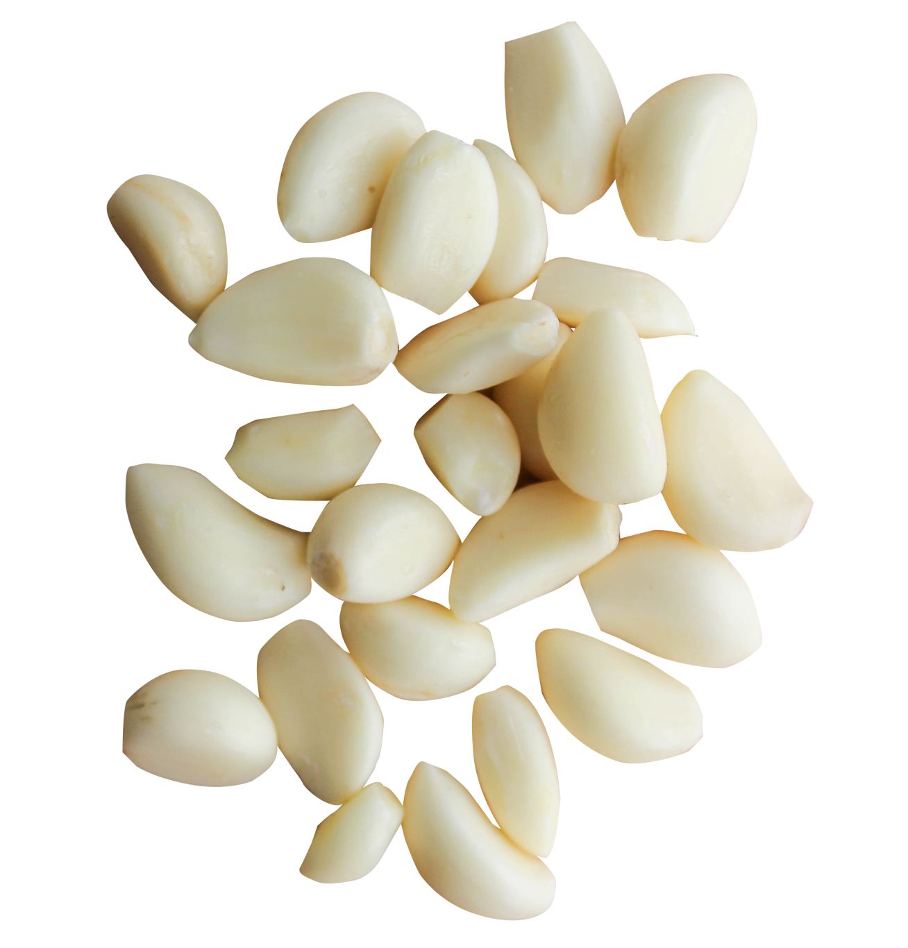 Garlic PNG    图片编号:99290