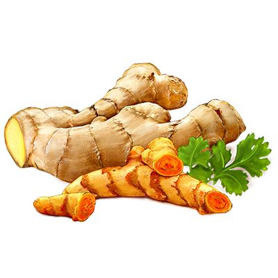 Ginger PNG    图片编号:16773