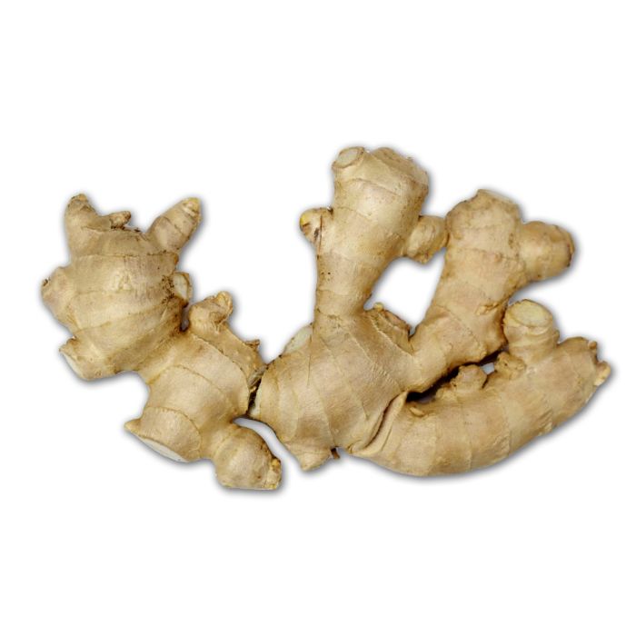 Ginger PNG    图片编号:16780