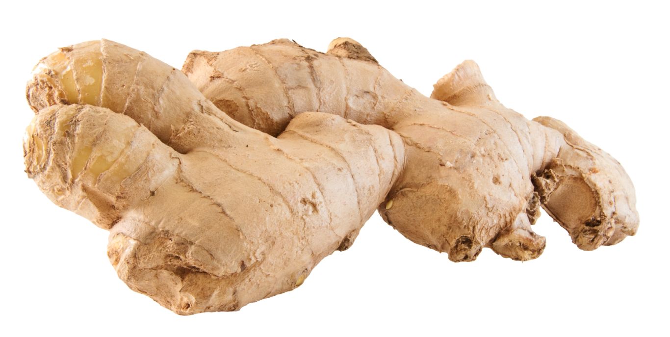 Ginger PNG    图片编号:16789