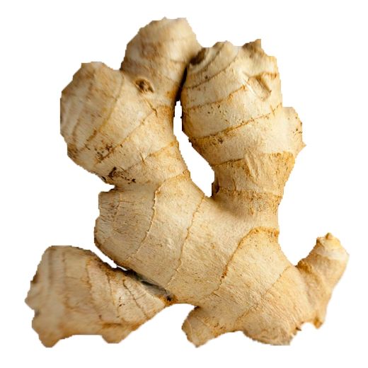 Ginger PNG    图片编号:16797