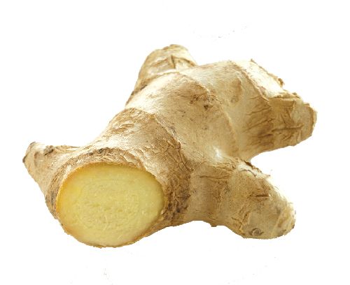 Ginger PNG    图片编号:16800