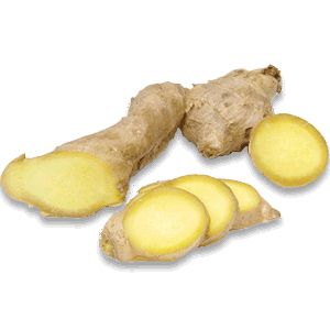 Ginger PNG    图片编号:16801