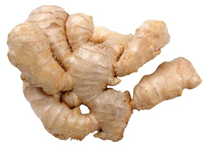 Ginger PNG    图片编号:16802