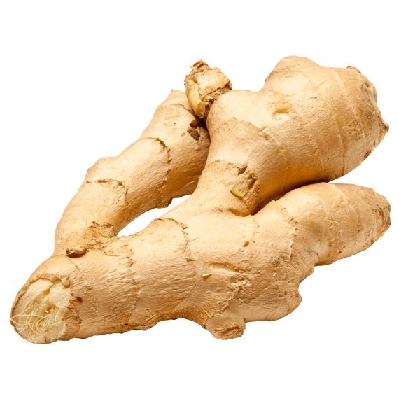 Ginger PNG    图片编号:16807