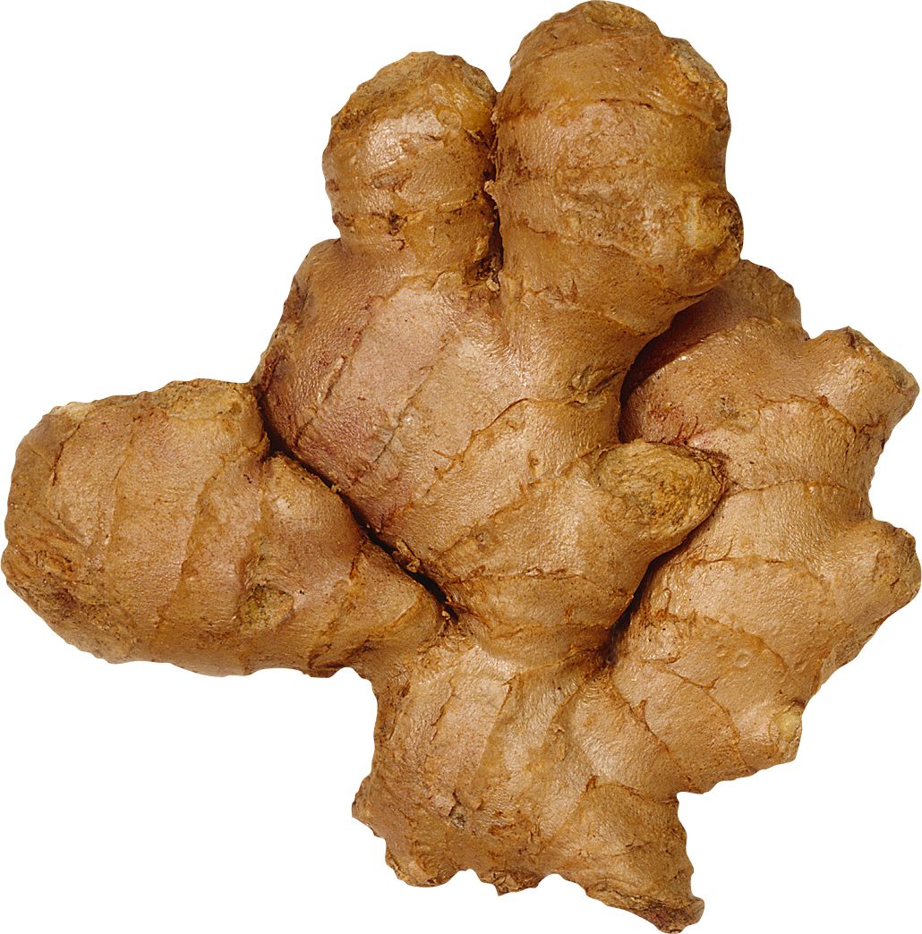 Ginger PNG    图片编号:99261