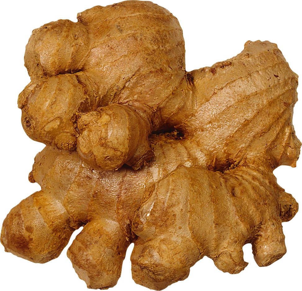 Ginger PNG    图片编号:99265