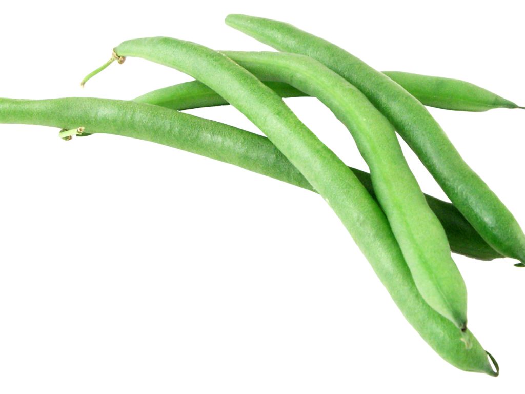 Green bean PNG    图片编号:56946