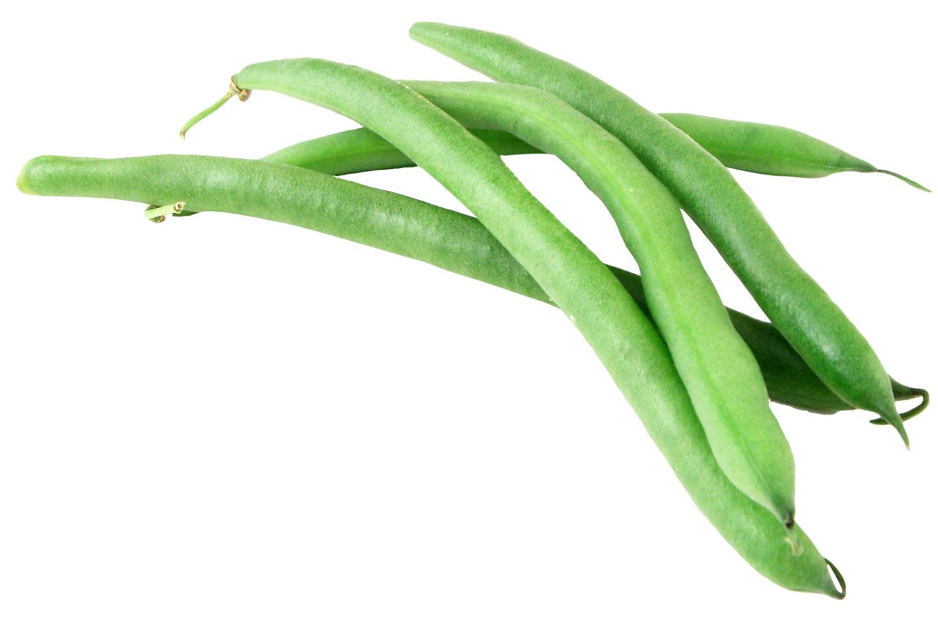 Green bean PNG    图片编号:56947