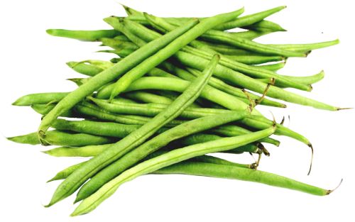 Green bean PNG    图片编号:56948