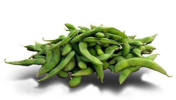 Green bean PNG    图片编号:56950