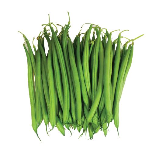 Green bean PNG    图片编号:56955