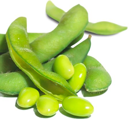 Green bean PNG    图片编号:56956