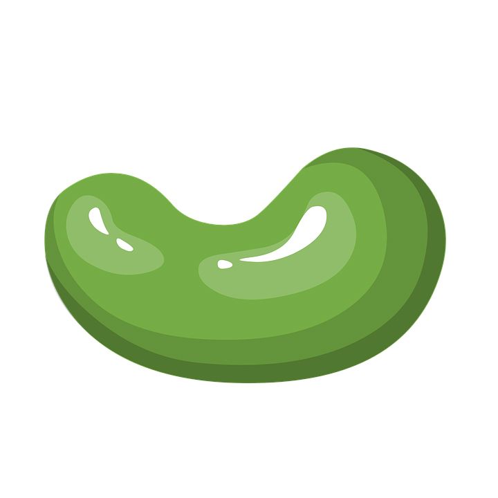 Green bean PNG    图片编号:56957