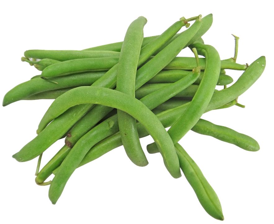 Green bean PNG    图片编号:56958