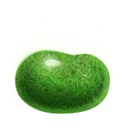 Green bean PNG    图片编号:56941