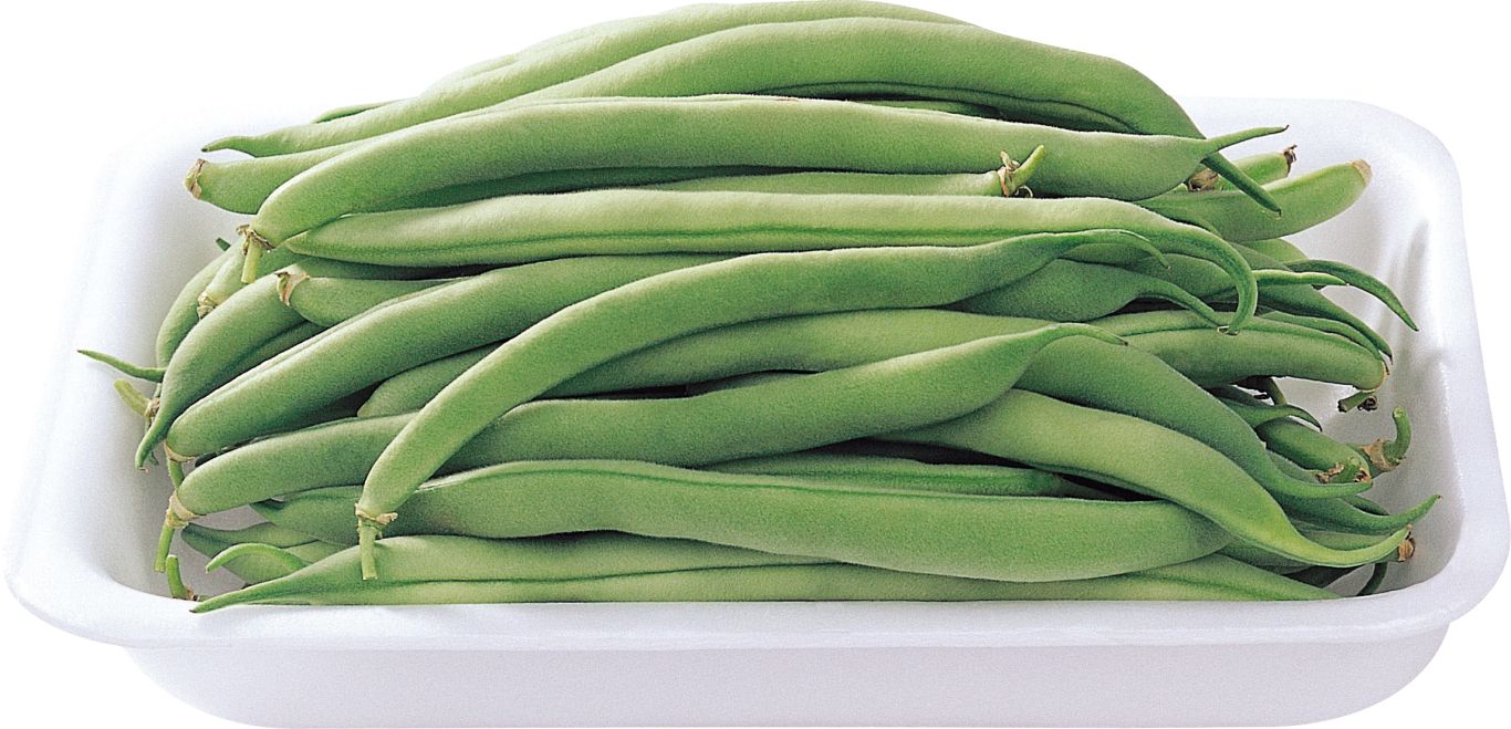 Green bean PNG    图片编号:99257
