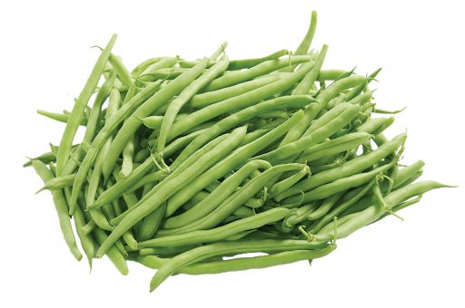 Green bean PNG    图片编号:99259