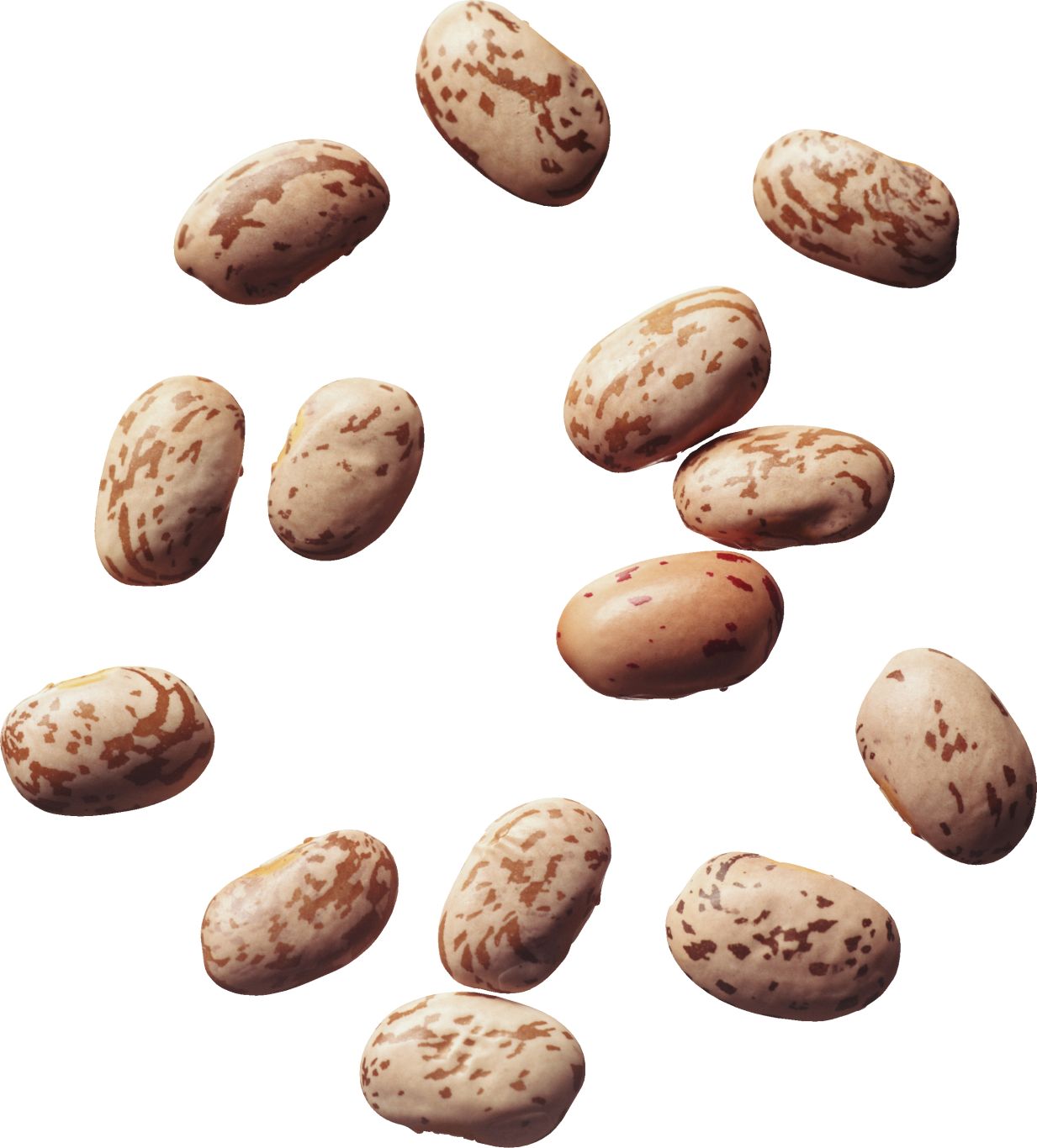 Kidney beans PNG    图片编号:56888