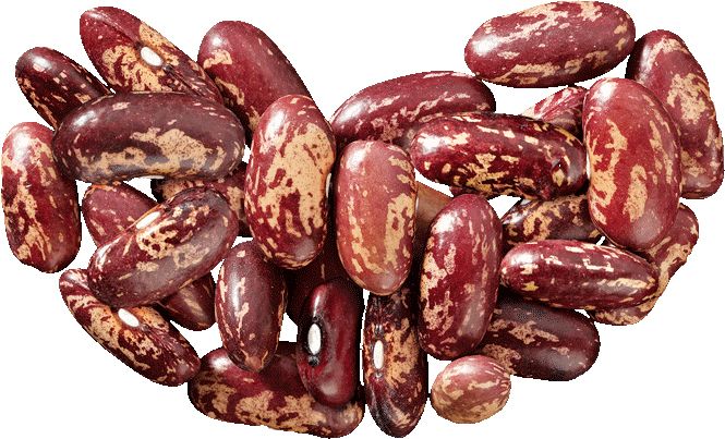 Kidney beans PNG    图片编号:56897