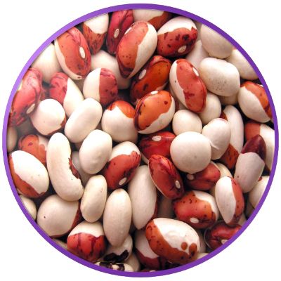Kidney beans PNG    图片编号:56901
