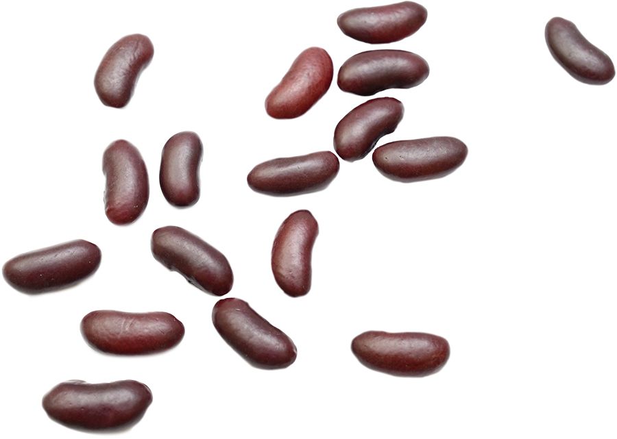 Kidney beans PNG    图片编号:56904